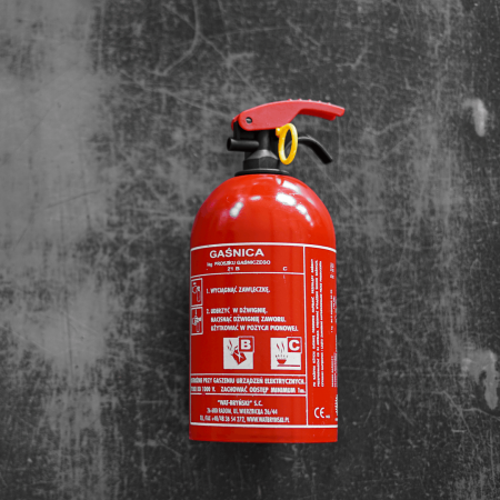 PRODUSE K2 - STINGATOR AUTO CU PULBERE TIP P1,1KG