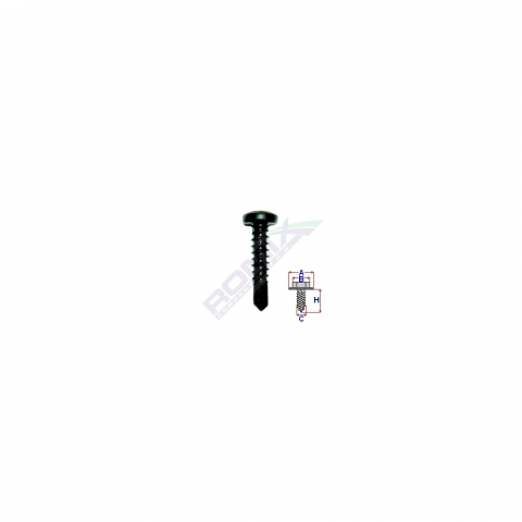 CONSUMABILE SERVICE - SURUB AUTOFORANT NEGRU 4.2X19 SET 100 BUC