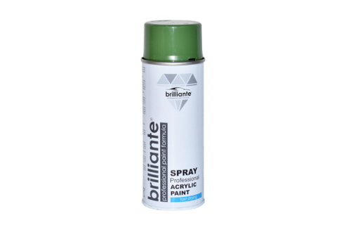 ACCESORII AUTO - VOPSEA SPRAY VERDE RESEDA (RAL 6011) 400 ml BRILLIANTE