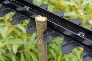 Accesoriu motocositoare pentru taiat gardul viu (∅ 26mm 9 dinti) [2]