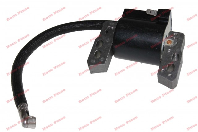 Aprindere Briggs&Stratton 796964 [3]