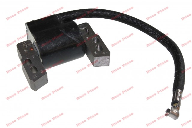 Aprindere Briggs&Stratton 796964 [1]