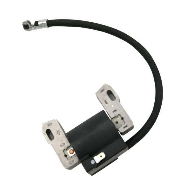 Aprindere Briggs&Stratton 843931 [1]