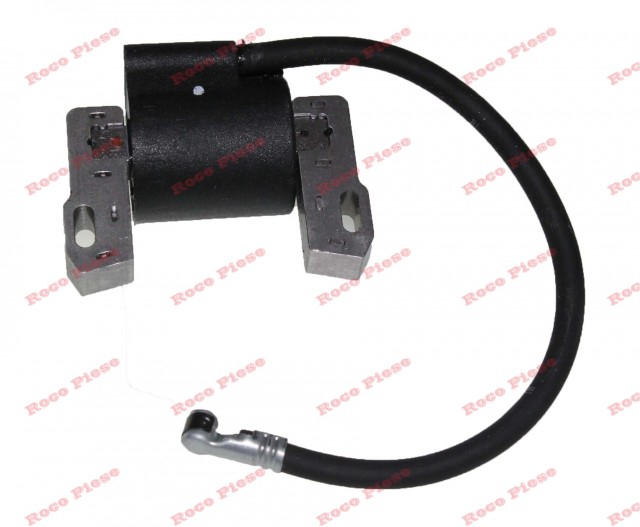 Aprindere Briggs&Stratton 843931 [3]