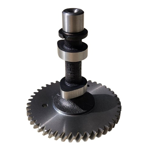 Axa came motor Robin EH12 [1]