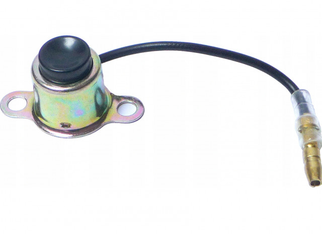 Buton pornire - oprire Robin EY20 [1]