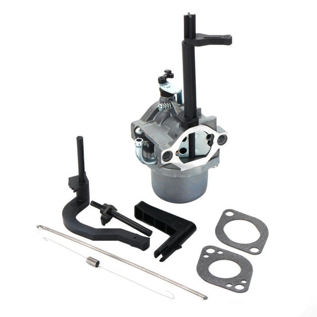 Carburator Briggs&Stratton 591378, 699966, 699958 [1]