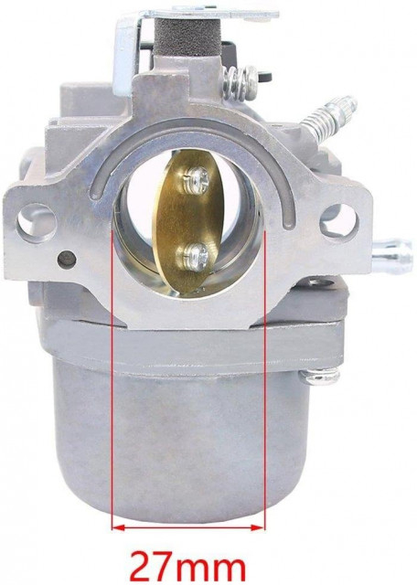Carburator Briggs&Stratton 799728, 498027, 499161 [2]