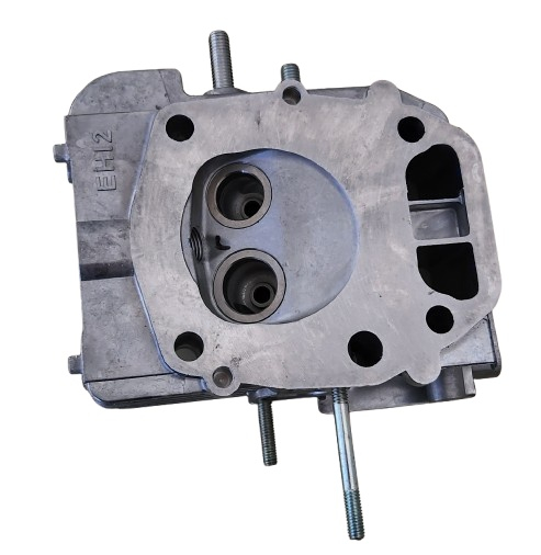 Chiulasa Robin EH 12 [1]