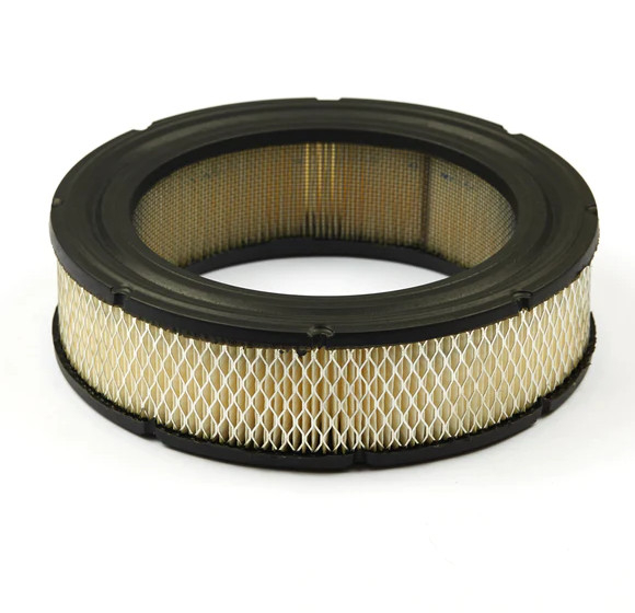 Filtru aer Briggs & Stratton 692519 [1]