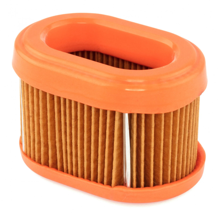 Filtru aer motor Briggs & Stratton 790166 [1]