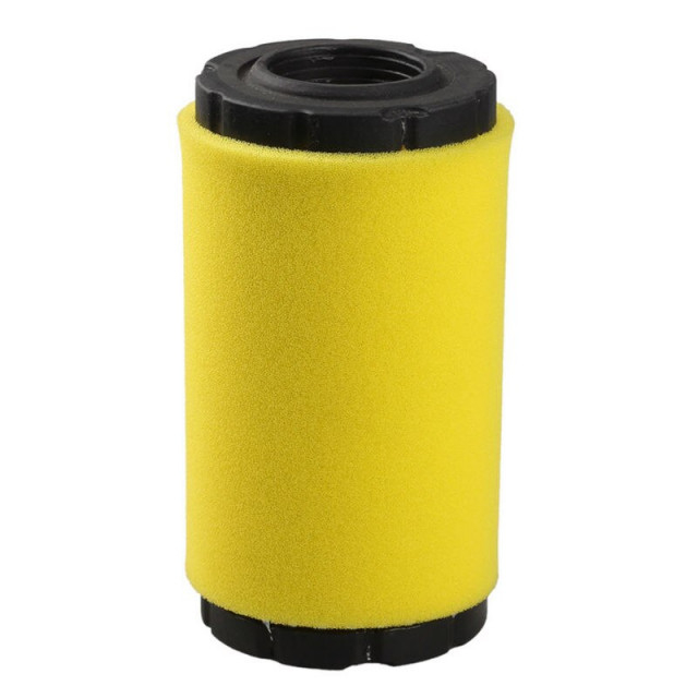 Filtru aer motor Briggs & Stratton 793569 [1]