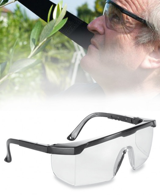 Ochelari protectie motocoasa (transparenti) [3]