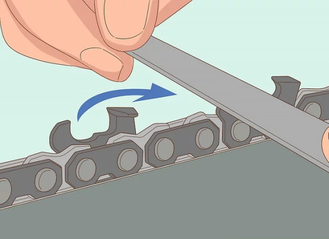 Pila lata Oregon [2]