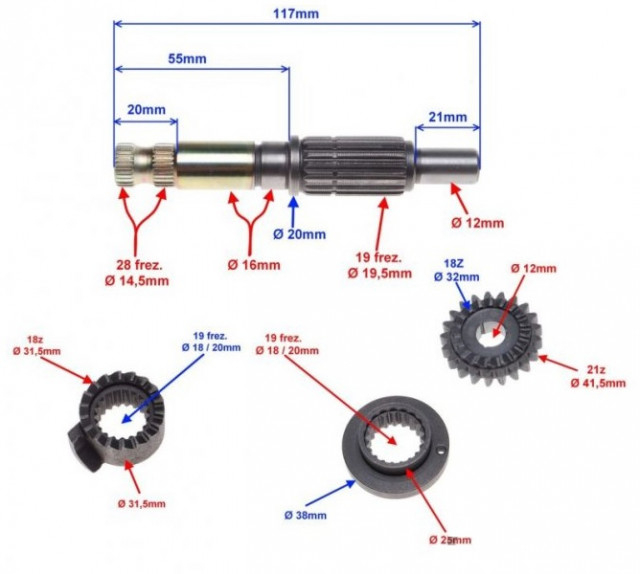 Pinion pornire AM6 [2]