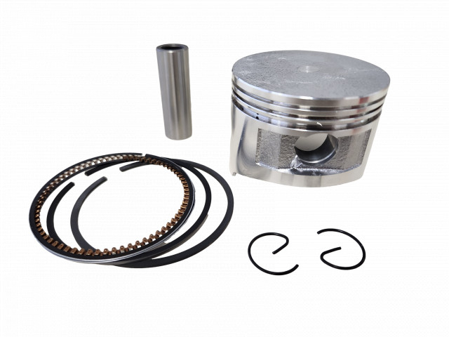 Piston motor ax vertical 1P70F Ø 69.5mm [2]