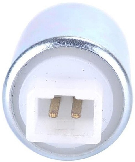 Pompa benzina Briggs & Stratton 699915 [2]