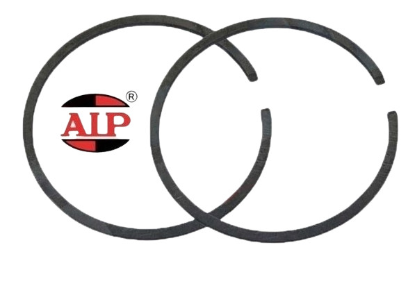 Segment Ø 40mm x 2 mm AIP [1]