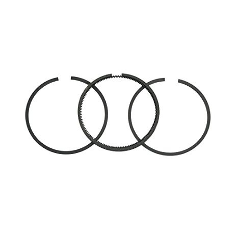 Segmenti motor BRIGGS & STRATTON 65.10 mm 299742 (3.5CP) [1]