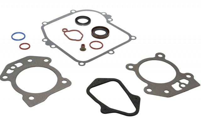 Set garnituri motor Briggs and Straton (Seriile 450, 500, 550 OHV) [1]
