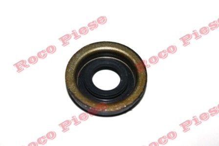 Simering ambielaj drujba chinezeasca 2500 (mare) [2]