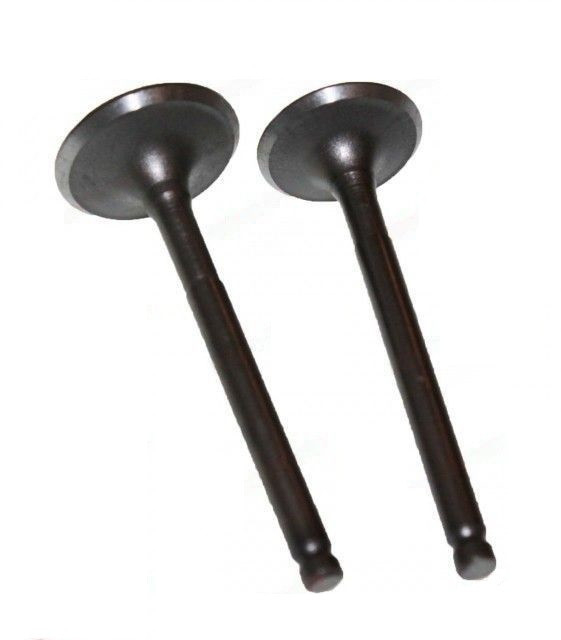 Supape ATV 110cc [1]