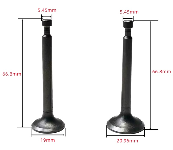 Supape motocoasa Robin EH 12 [2]
