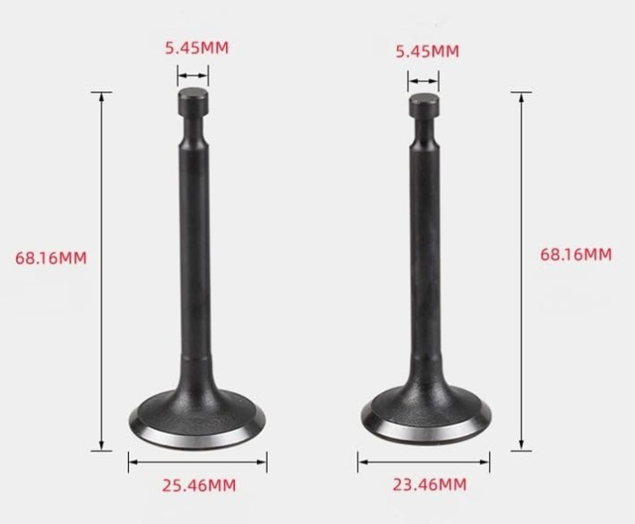 Supape motocoasa Robin EX 17 [1]