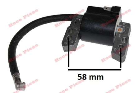 Aprindere Briggs&Stratton 796964 [1]