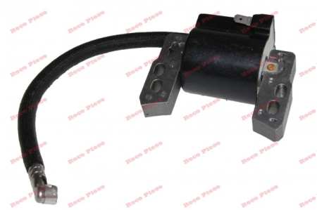 Aprindere Briggs&Stratton 796964 [2]