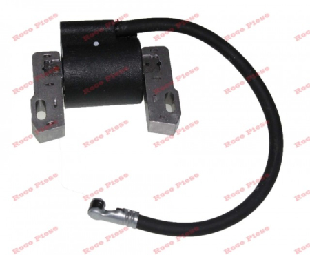 Aprindere Briggs&Stratton 843931 [2]