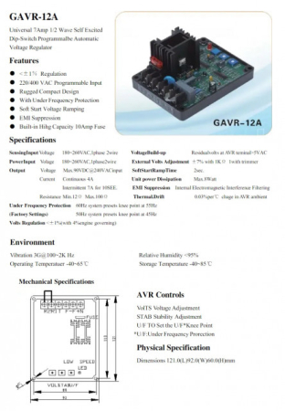 AVR Generator model 12 Amperi [2]
