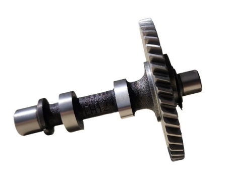 Axa came motor Robin EH12 [1]