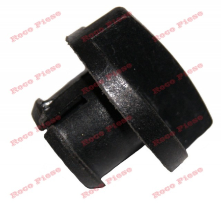 Buson filtru aer drujba china [1]