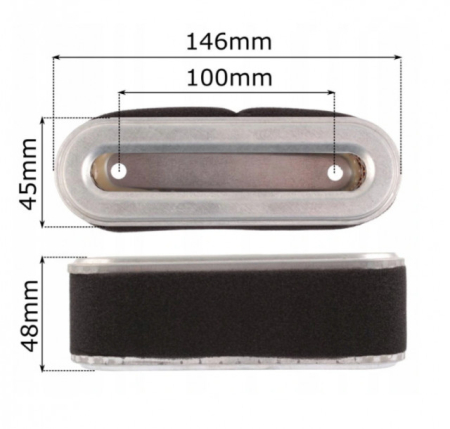 Cartus filtru aer masina tuns gazon NAC DY164PMB [1]