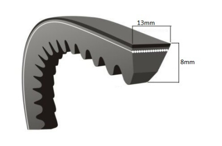 Curea motosapa (Zimbru 6544) 13 x 8 x 925 La [1]