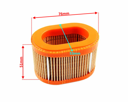 Filtru aer motor Briggs & Stratton 790166 [1]