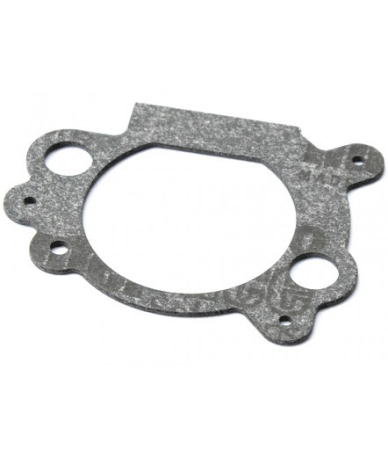 Garnitura carburator Briggs&Stratton Quantum [1]