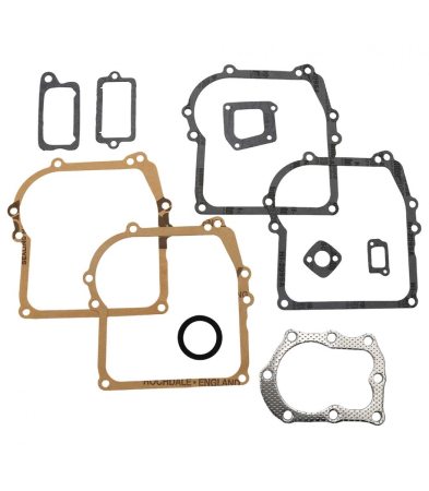 Piese motoutilaje  - Set garnituri motor Briggs and straton 3.5 CP (seria 298989)