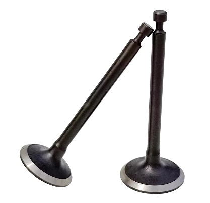 Piese motocoasa - Supape motocoasa Robin EH 12