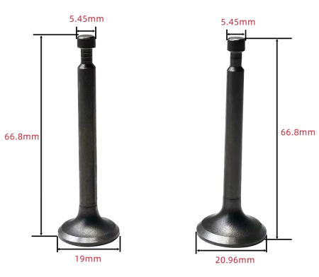 Supape motocoasa Robin EH 12 [1]