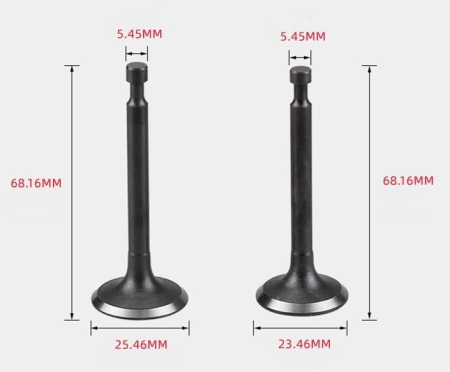 Piese motocoasa - Supape motocoasa Robin EX 17