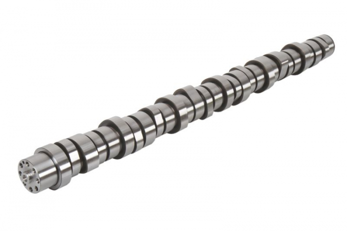 Ax cu came D13 potrivit VOLVO 9700, 9900, B13, FH, FH II, FH III, FM, FM II, FMX, FMX II, FMX III D13A460-D13K540S dupa 2005 [2]