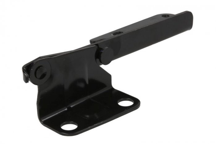 Balama capota motor Dreapta potrivit FORD USA MUSTANG 3.9-5.4 dupa 2004 [2]