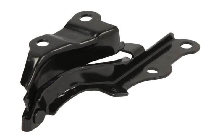 Balama copota dreapta potrivit TOYOTA LAND CRUISER FJ120 09.02-07.09 [2]