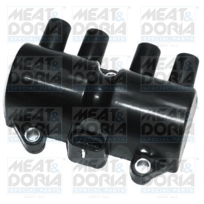 Bobina inductie potrivit CHEVROLET AVEO, AVEO KALOS, CAPTIVA, CRUZE, EPICA, EVANDA, LACETTI, MATIZ, NUBIRA, REZZO, SPARK, TRAX; DAEWOO EVANDA, KALOS, LACETTI, LANOS, LEGANZA, MATIZ 1.0-2.4LPG 02.97-