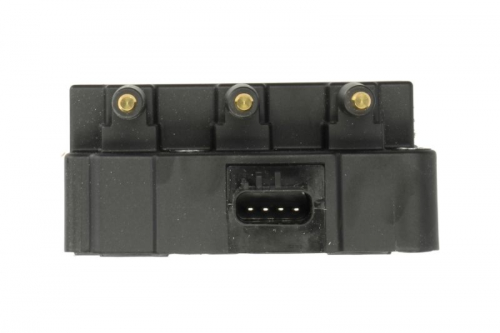 Bobina inductie potrivit CHRYSLER GRAND VOYAGER V, VOYAGER IV, VOYAGER V; JEEP WRANGLER III 3.3/3.8 02.00- [2]