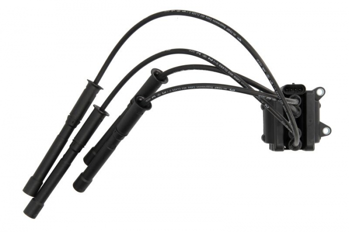 Bobina inductie potrivit DACIA LOGAN, SANDERO; NISSAN TERRANO; RENAULT CLIO II, CLIO III, CLIO IV/HATCHBACK, FLUENCE, GRAND SCENIC II, KANGOO, KANGOO EXPRESS, KAPTUR, MASTER II, MEGANE I 1.0-2.8D 09.9 [2]