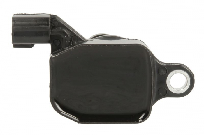 Bobina inductie potrivit NISSAN ALTIMA, MAXIMA / MAXIMA QX V, MURANO I, MURANO II, PATHFINDER II, PATHFINDER III, TERRANO REGULUS; RENAULT CLIO III, ESPACE IV 1.6-4.0 dupa 2000 [2]