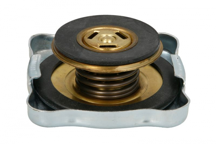 Buson radiator (0,5bar) potrivit IVECO ZETA 8040.04.200-8340.05.200 1979-1992 [2]